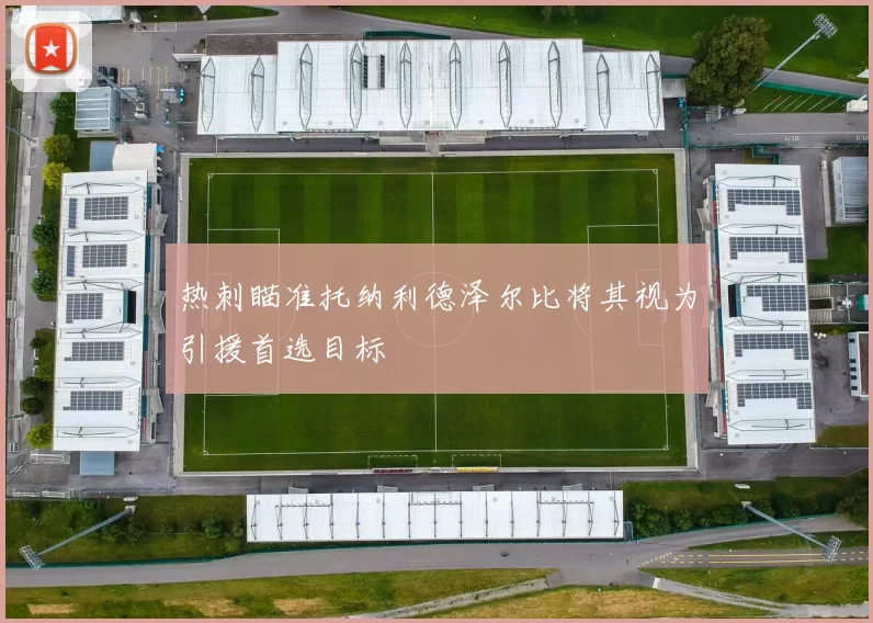 热刺瞄准托纳利德泽尔比将其视为引援首选目标