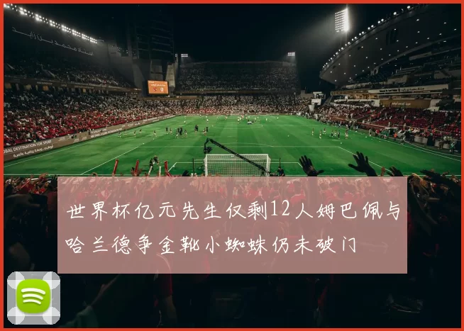 世界杯亿元先生仅剩12人姆巴佩与哈兰德争金靴小蜘蛛仍未破门